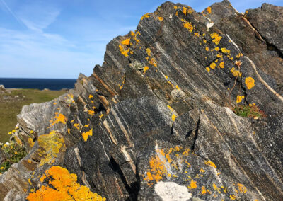 Lichen Lewisian gneiss