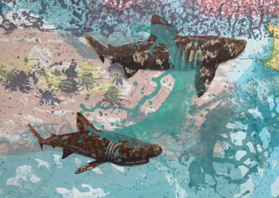 Basking Sharks, 10x15cm, Postcard, £1.50