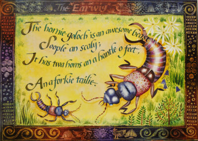 Nicky Sanderson, The Earwig (horny goloch), Scots Nursery Rhymes, commissioned by Scottish Book Trust, watercolour & oil pastel on paper, 2005