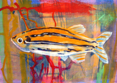 Nicky Sanderson, Fishes I have known and loved series, 2, mixed media on paper, 2007, 43 x 30cm