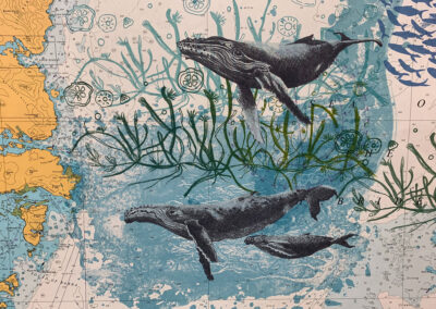 Humpback Whales, 10x15cm, Postcard, £1.50