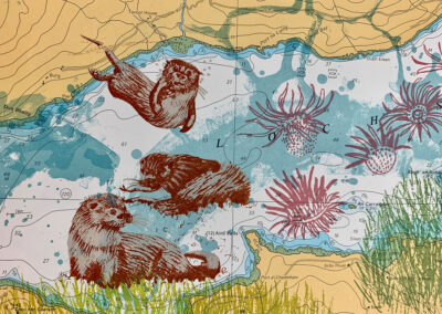 Sea Otters, Mull, 10x15cm, Postcard, £1.50