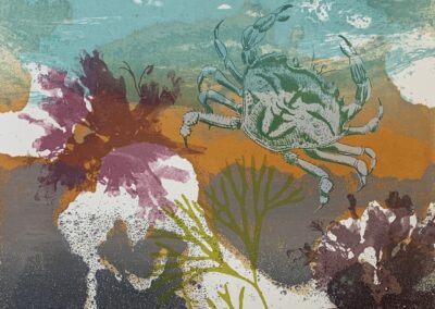 Nicky Sanderson, Green Shore Crab, screen print, edition of 6 + 3x A/Ps, 29 x 40.5 cm AVAILABLE £195 framed, £95 unframed