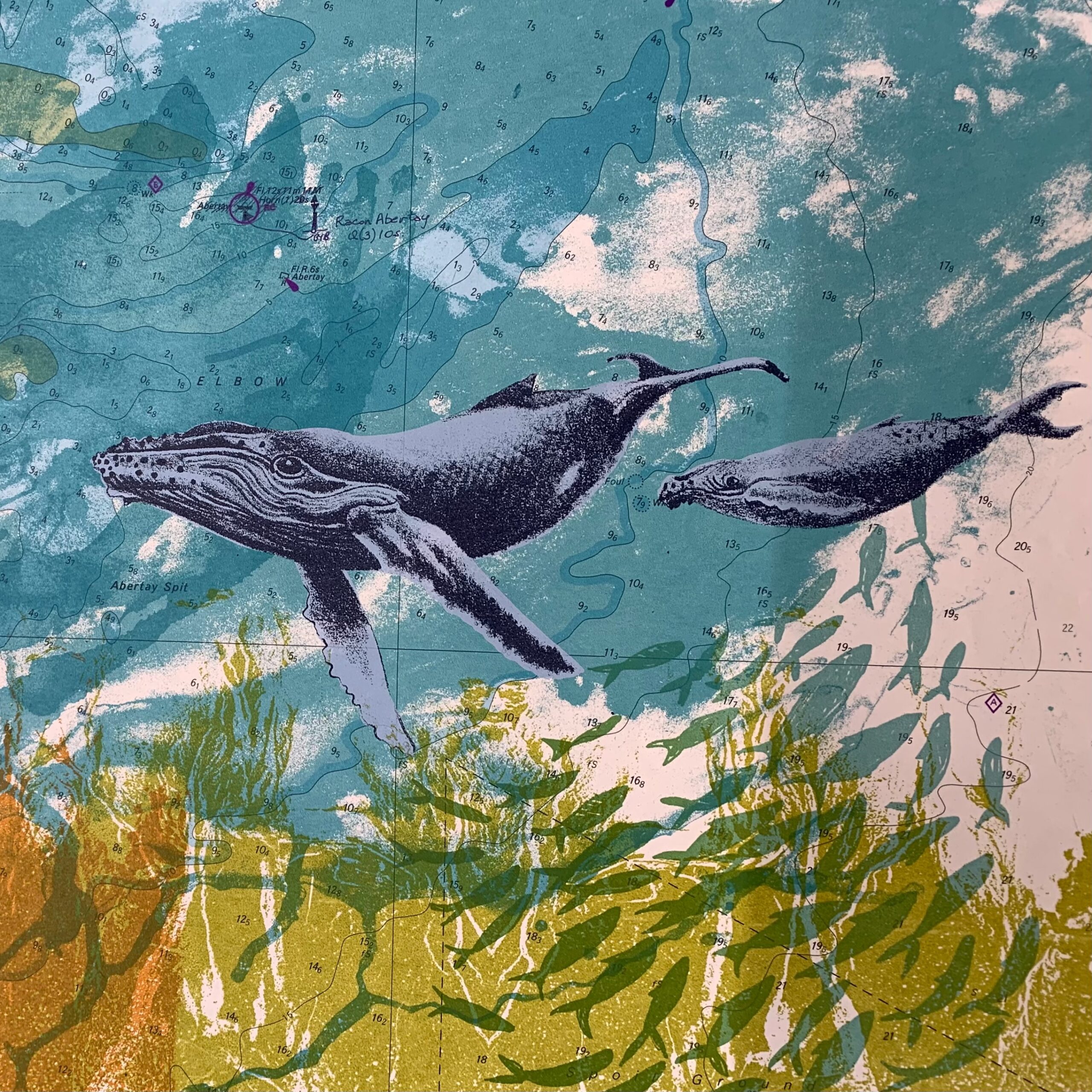 Nicky Sanderson, Marine Charts